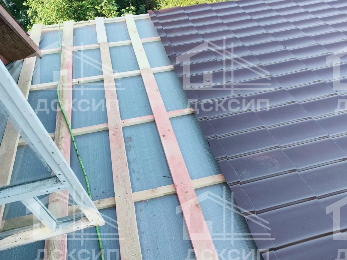 Проект ДСП - 555
