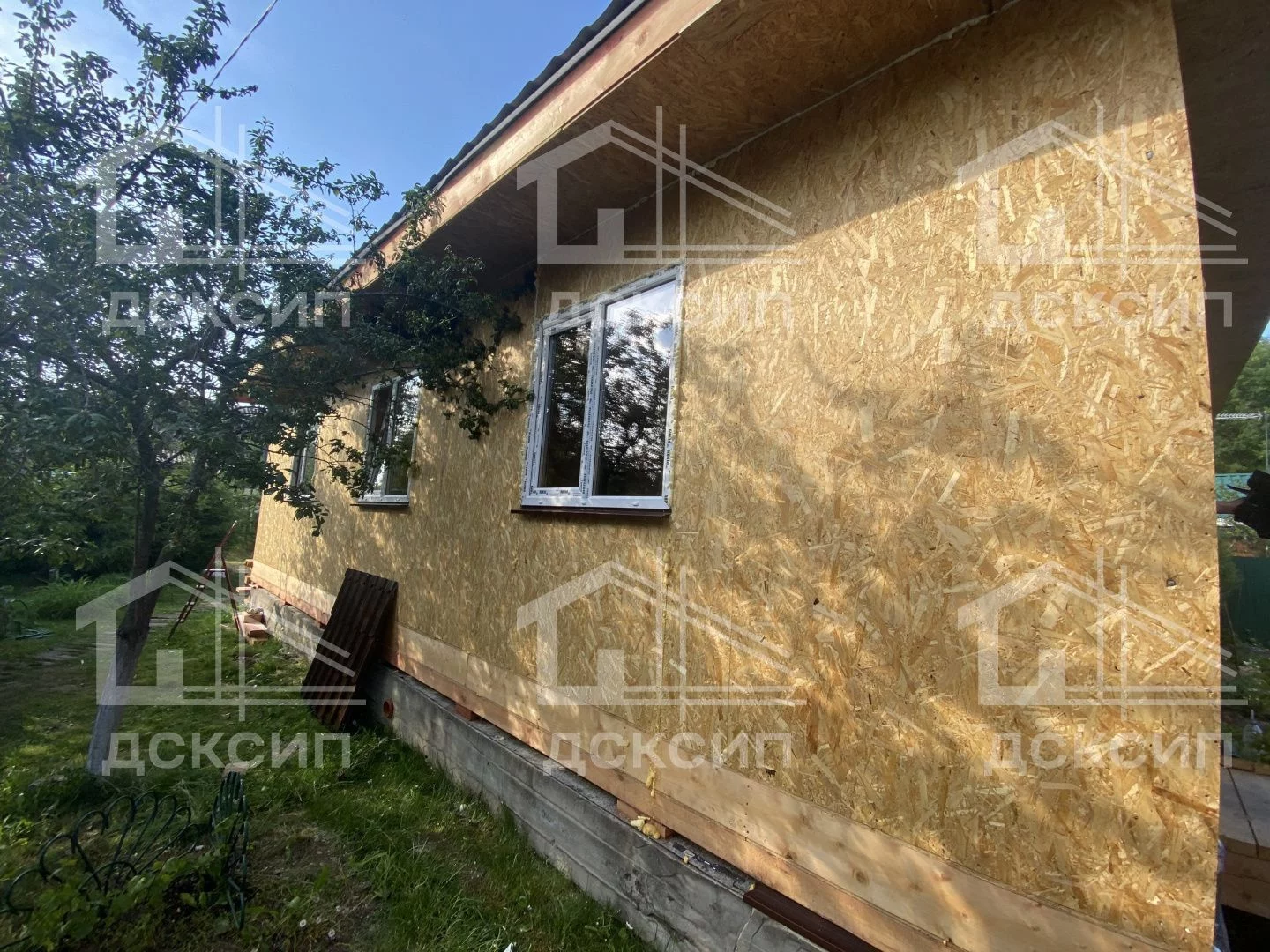 Проект ДСП - 555