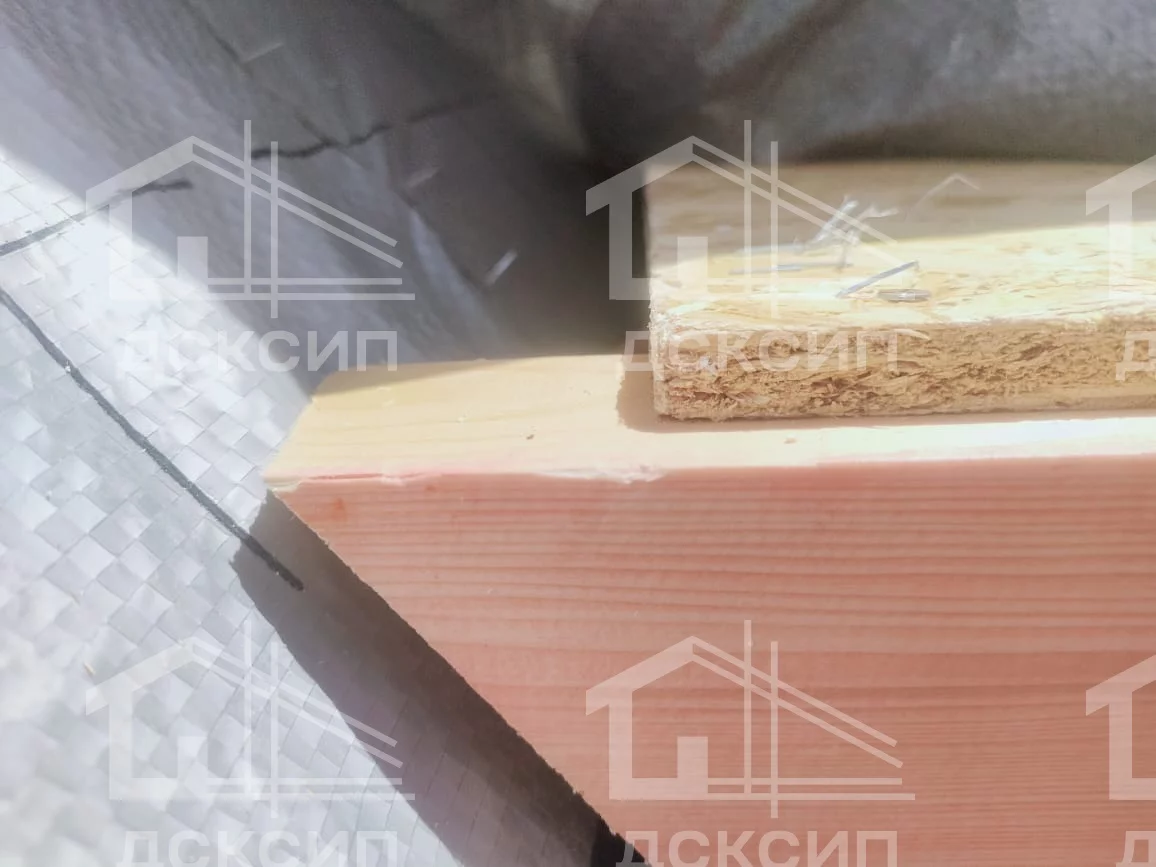 Проект ДСП - 555