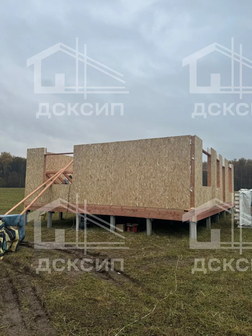 Проект ДСП - 059