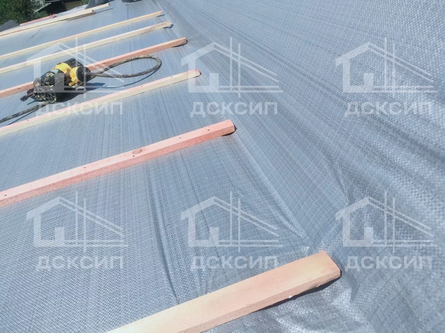 Проект ДСП - 555