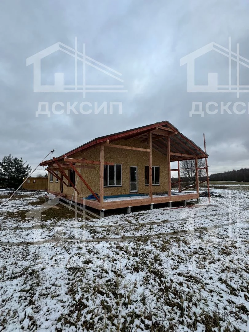 Проект ДСП - 059
