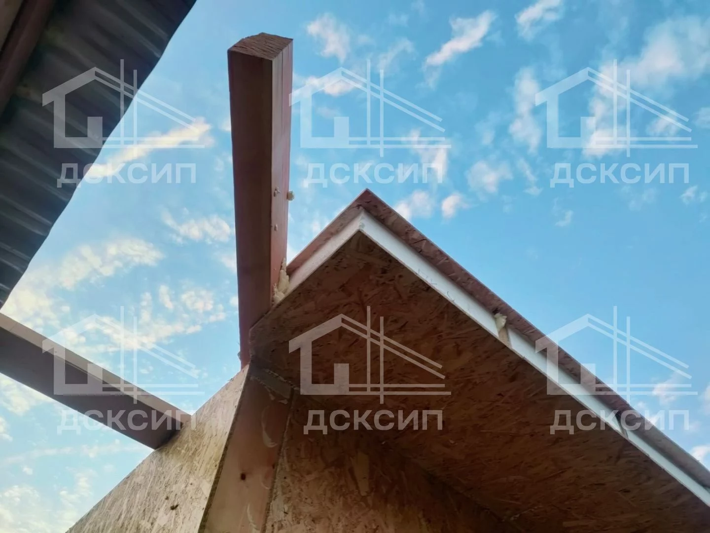 Проект ДСП - 555
